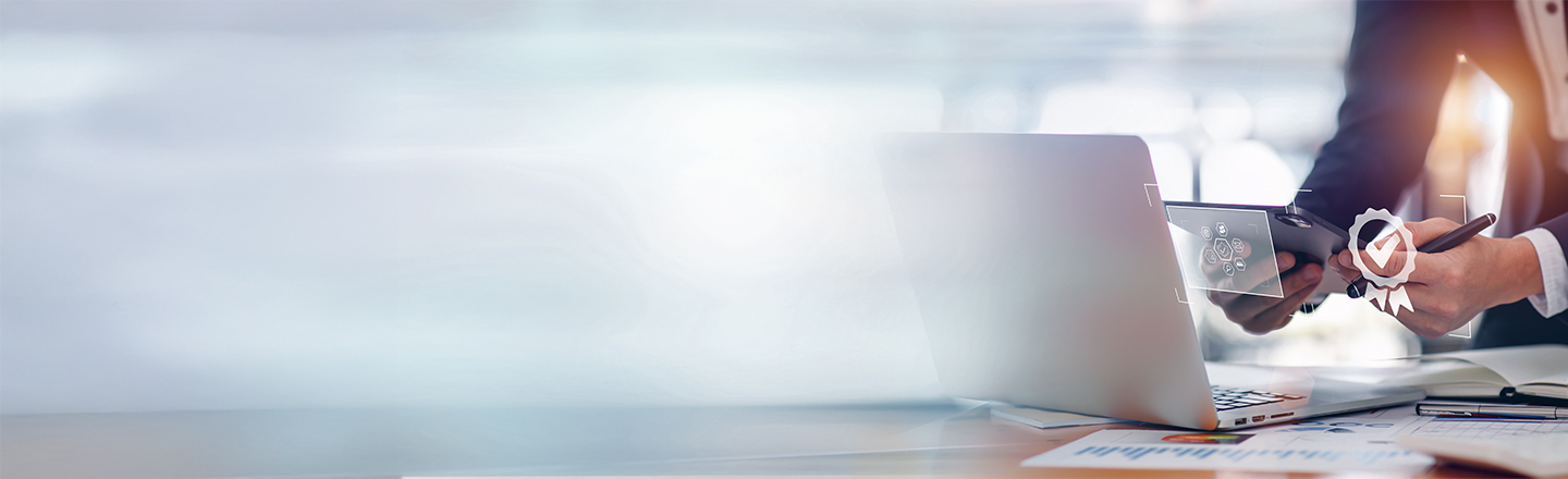 Representation and Litigation Support