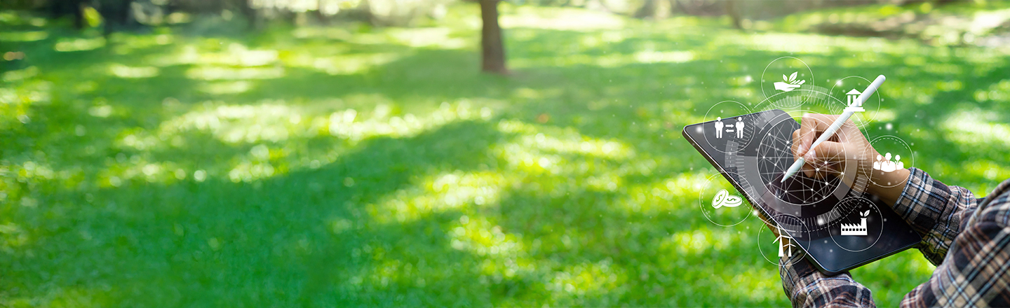 Interplay between Tax and Sustainability