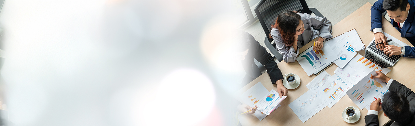 Employee Stock Option Plan (ESOP) Services