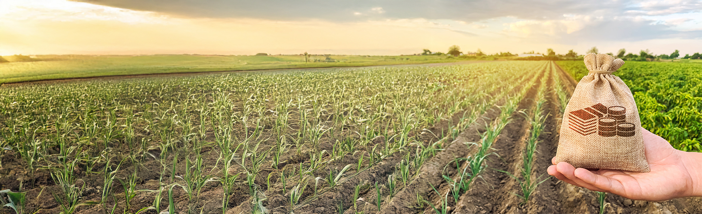 Food & Agribusiness