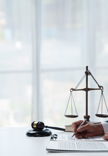 Dispute Advisory and Litigation Support