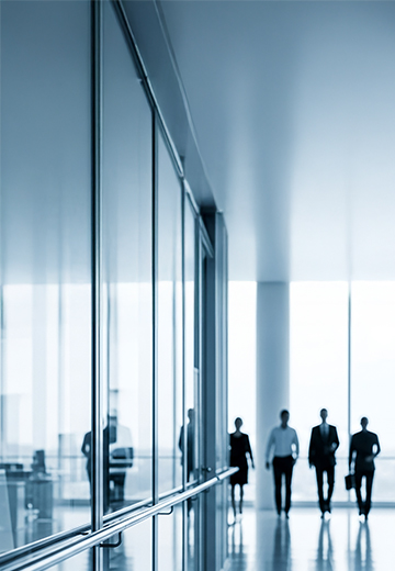 Consulting Services