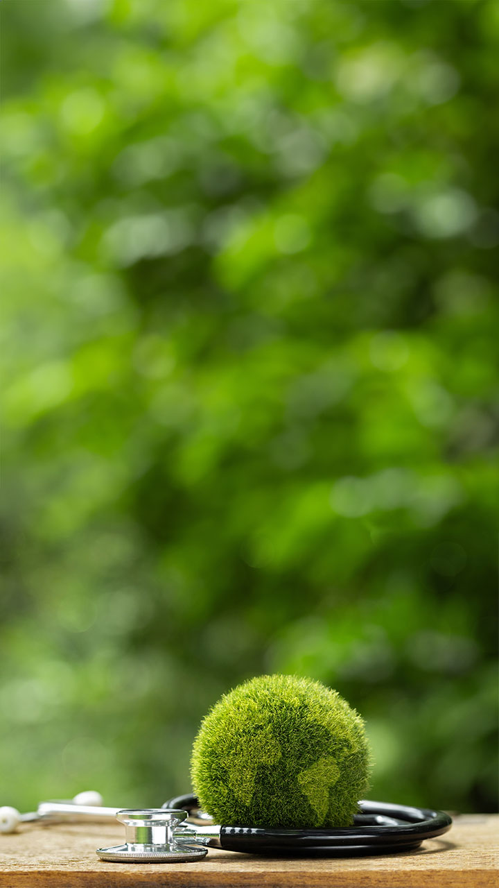 Sustainable Healthcare