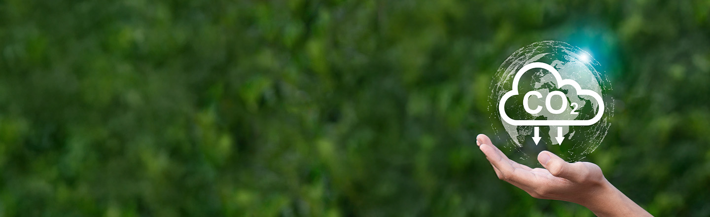 Microsoft Cloud for Sustainability
