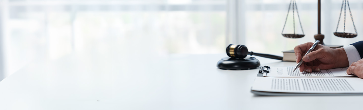 Dispute Advisory and Litigation Support