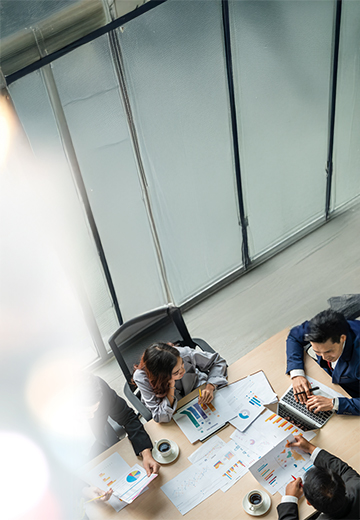 Employee Stock Option Plan (ESOP) Services