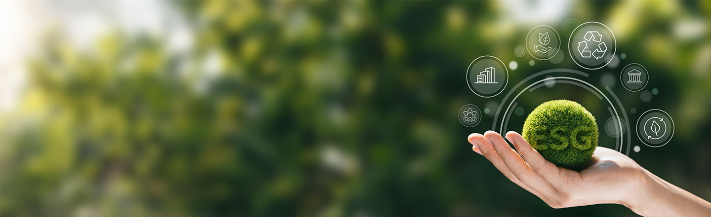 ESG Disclosures & Non-financial Assurance