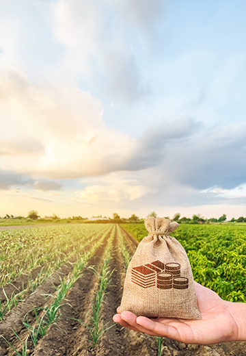 Food & Agribusiness